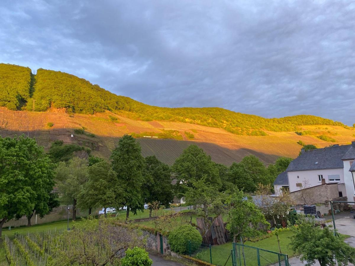 Luiza Fewo Trittenheim Exterior foto